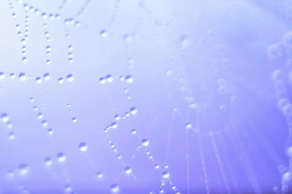 Liquid Web : le leader de l’hébergement web performant et sécurisé.